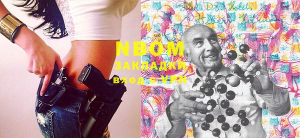 мет Алексин