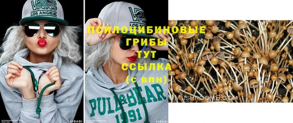 мет Алексин