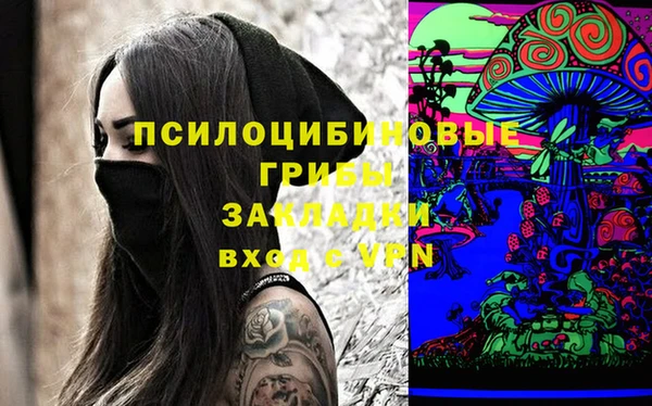 мет Алексин
