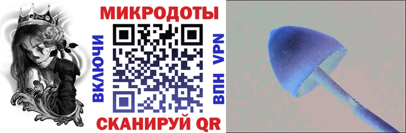 Галлюциногенные грибы Psilocybe  наркота  Асино 